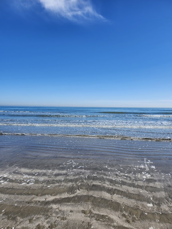 Galveston Island State Park