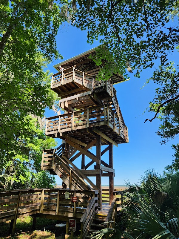Paynes Prairie Preserve State Park