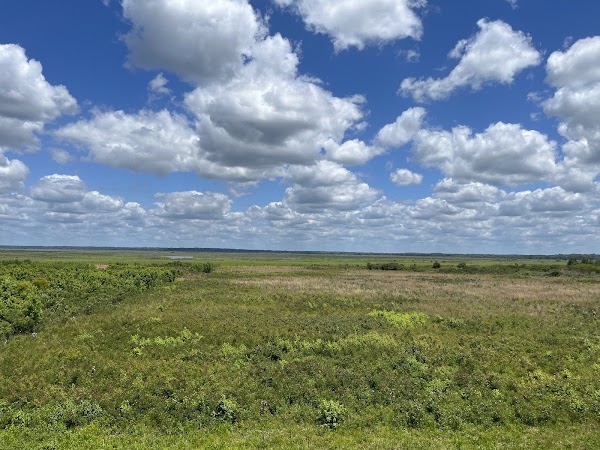 Paynes Prairie Preserve State Park