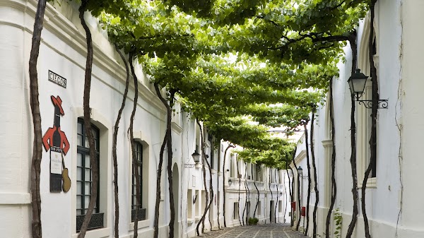 Bodega Tio Pepe