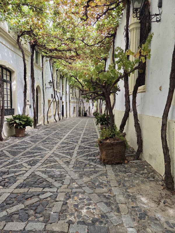 Bodega Tio Pepe