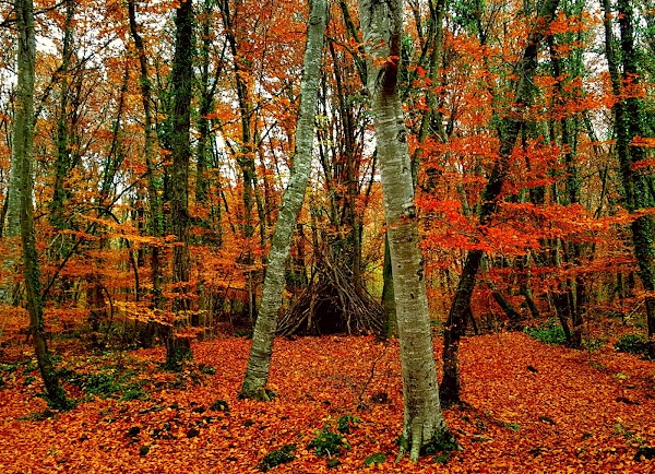 Naturschutzpark Vulkane der Garrotxa
