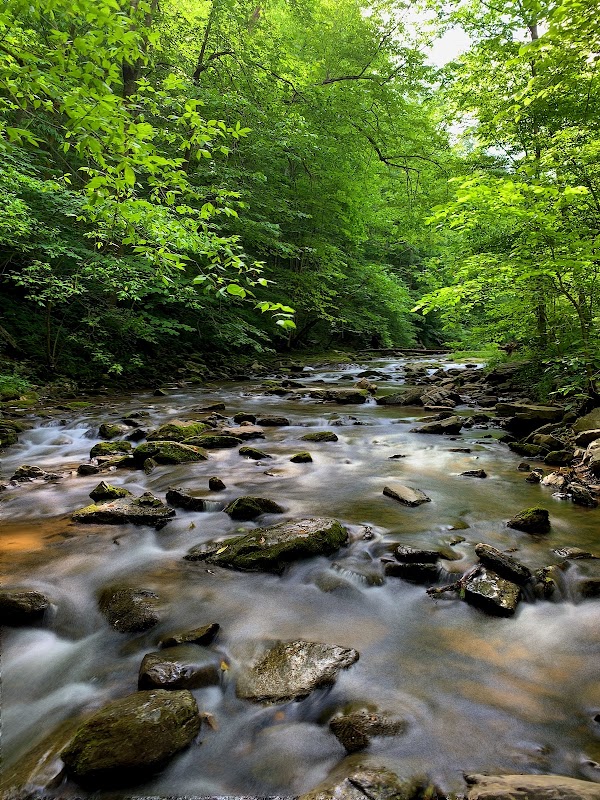 Natural Bridge State Park