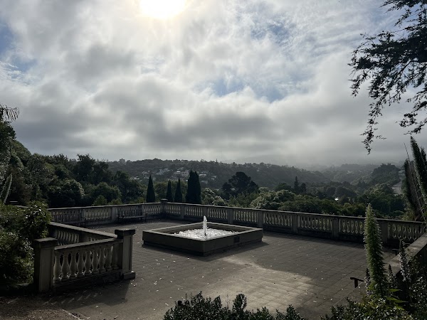 Dunedin Botanic Garden Lookout
