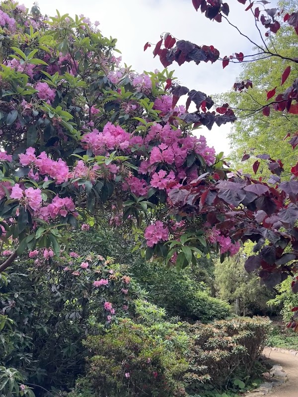 Dunedin Botanic Garden Lookout