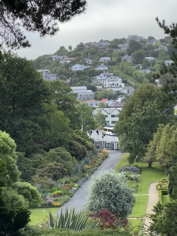 Dunedin Botanic Garden Lookout
