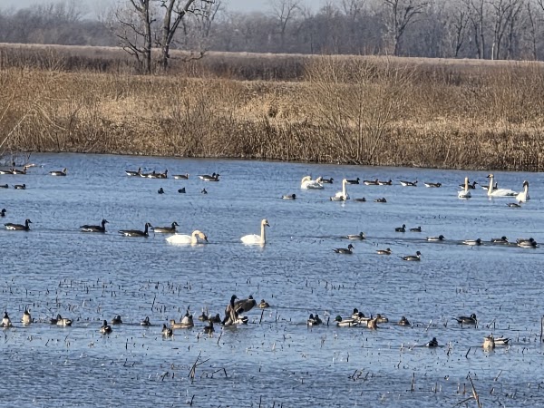 Loess Bluffs National Wildlife Refuge