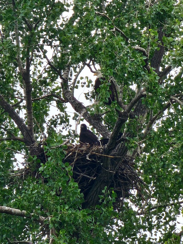 Loess Bluffs National Wildlife Refuge
