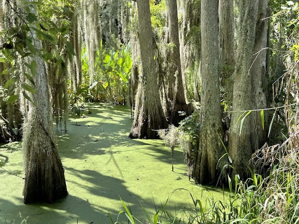 Circle B Bar Reserve