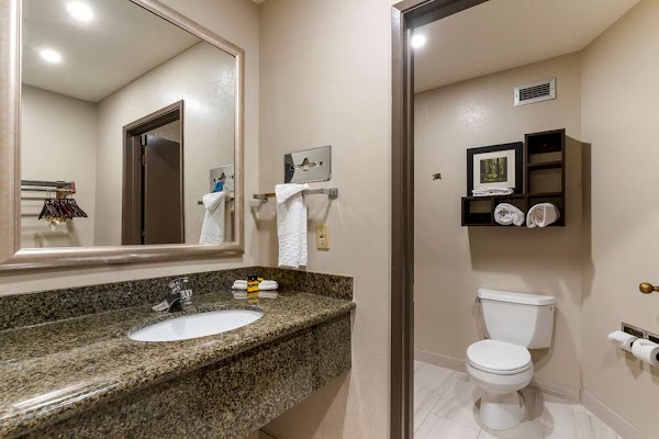 Best Western Plus Forest Park Inn