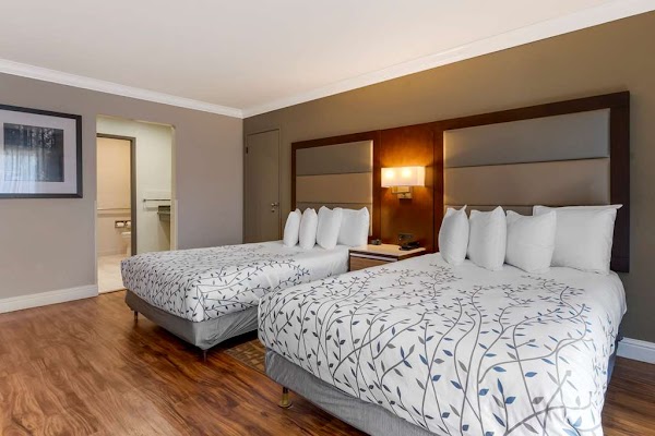 Best Western Plus Forest Park Inn