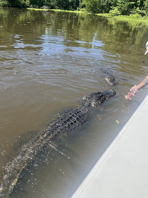 McGee's Louisiana Swamp & Airboat Tours