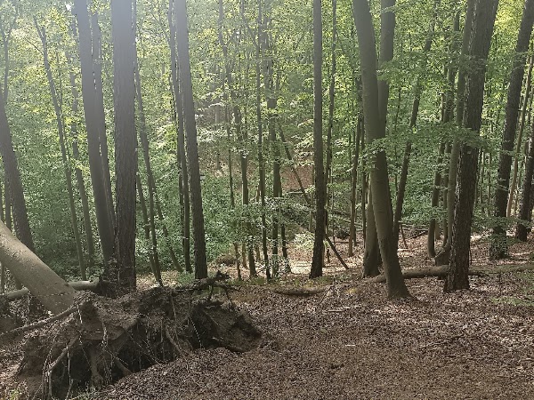 Lagow-Sulecinski Landscape Park