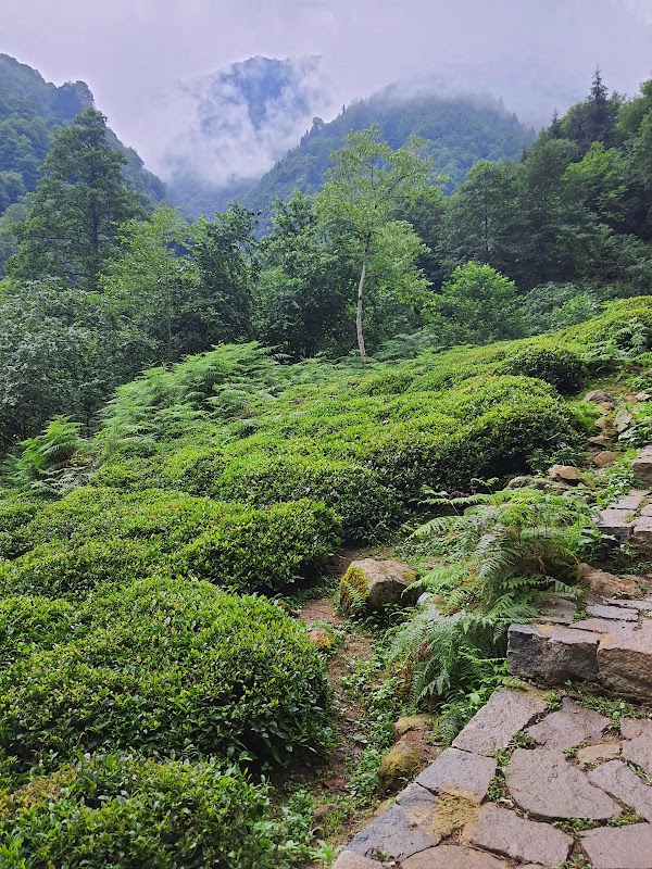 Mençuna Şelalesi