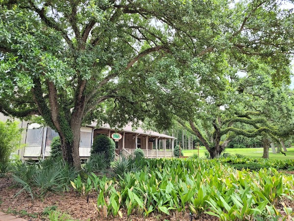 TABASCO Factory Tours