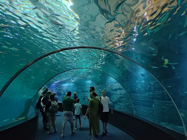Nausicaá, National Sea Center