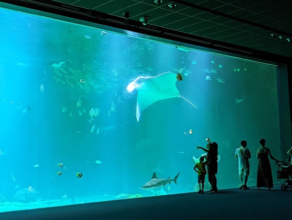 Nausicaá, National Sea Center