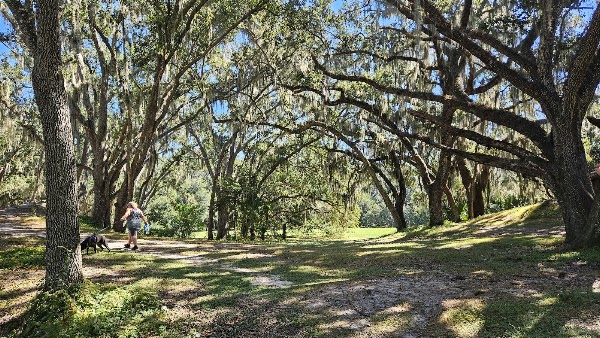 Edward Medard Conservation Park