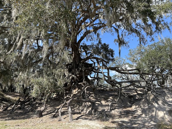 Edward Medard Conservation Park