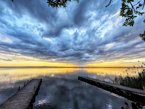 Parque Natural de la Albufera