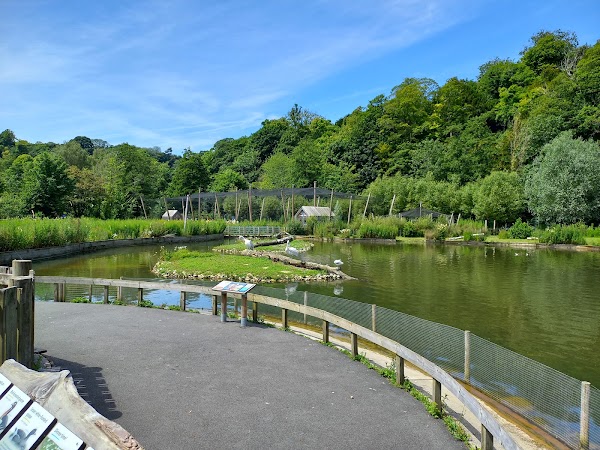 WWT Arundel