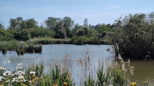 WWT Arundel