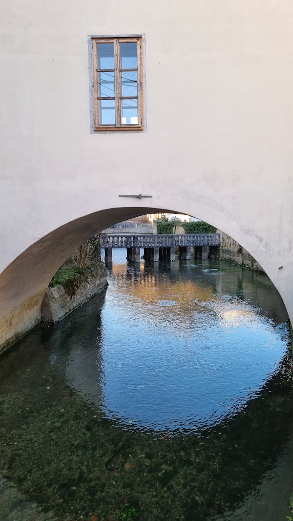 Izviri reke Vipave