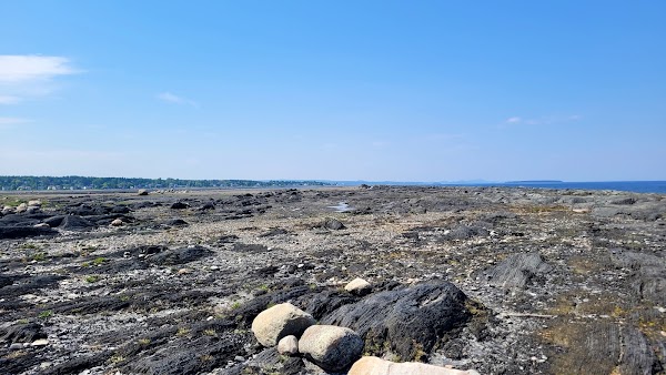 Pointe-au-Père National Wildlife Area