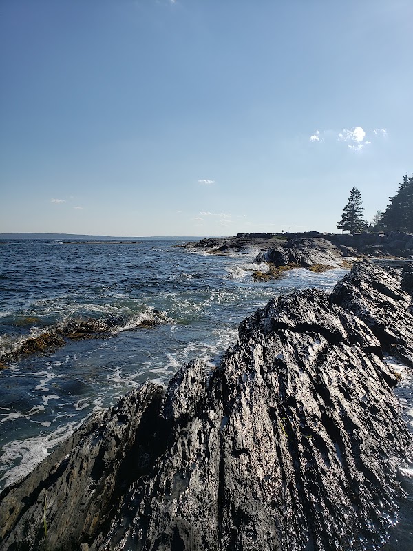 Blue Rocks