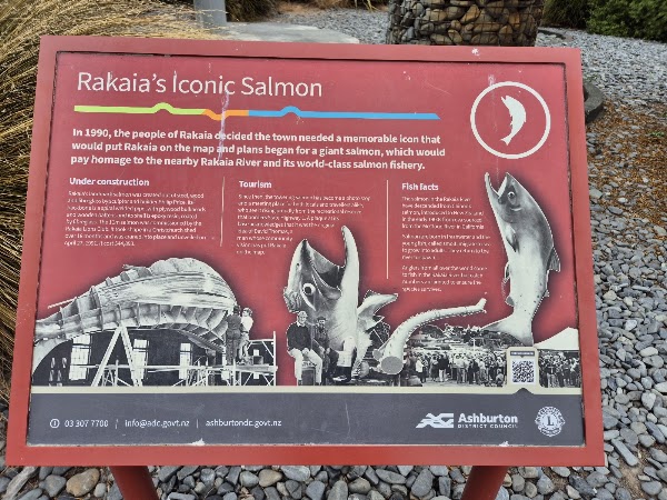Rakaia's Iconic Salmon