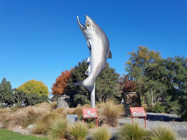Rakaia's Iconic Salmon