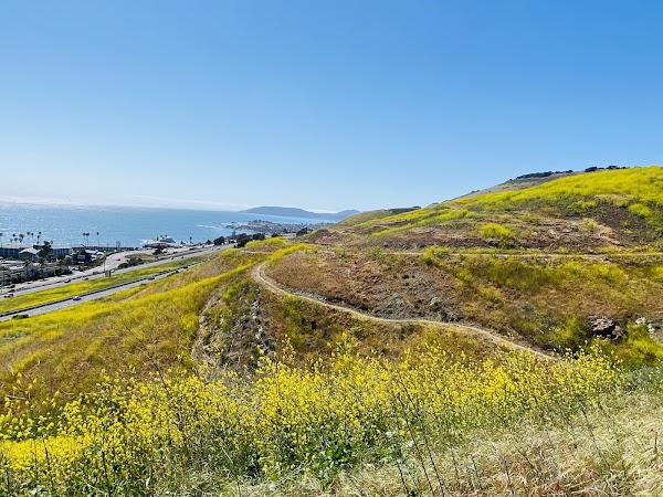 Pismo Preserve