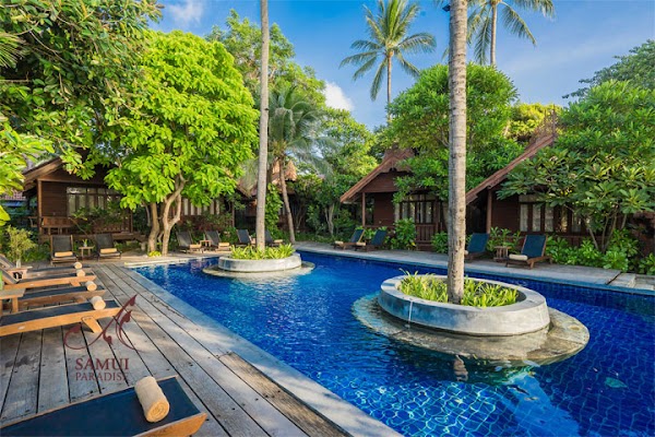 Samui Paradise
