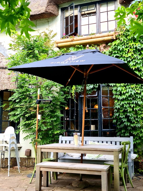 The Ginger Fox