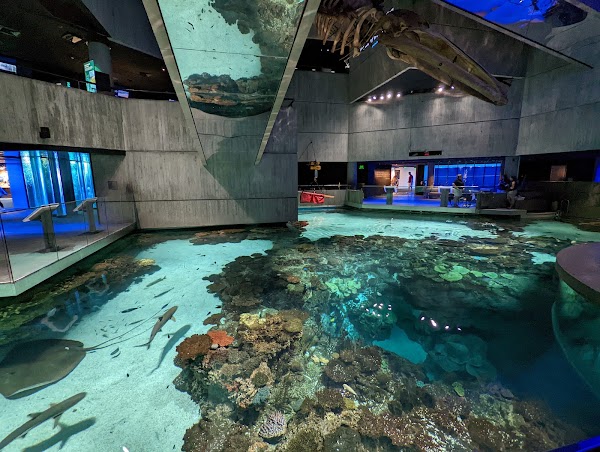 National Aquarium