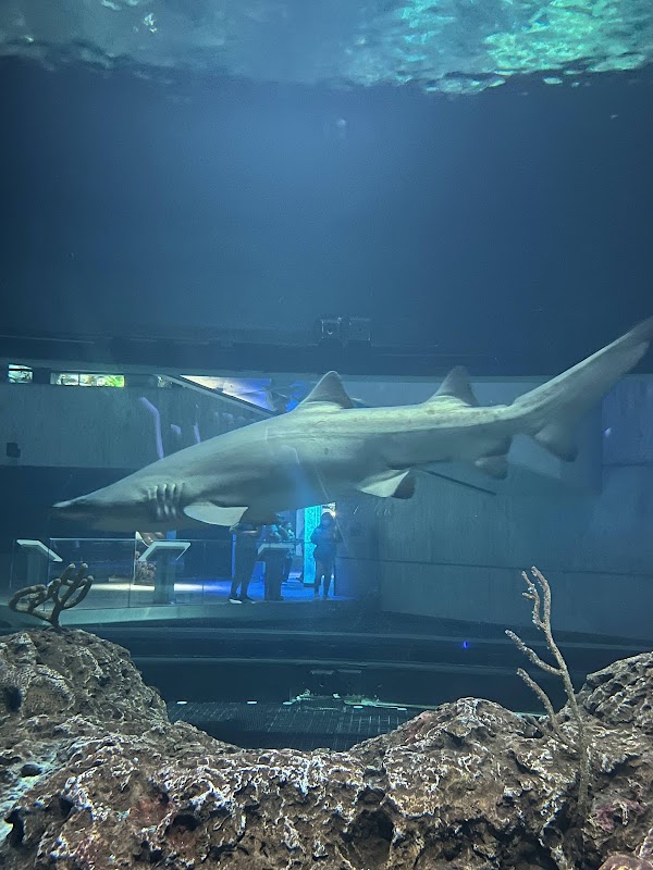 National Aquarium