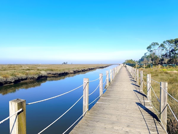 Passadiços de Aveiro (início)