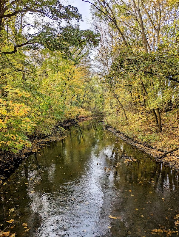 Leipziger Auwald