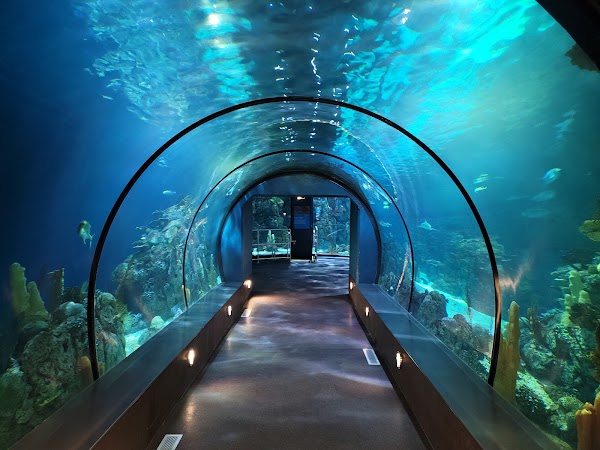 Moody Gardens Attractions Theme Park