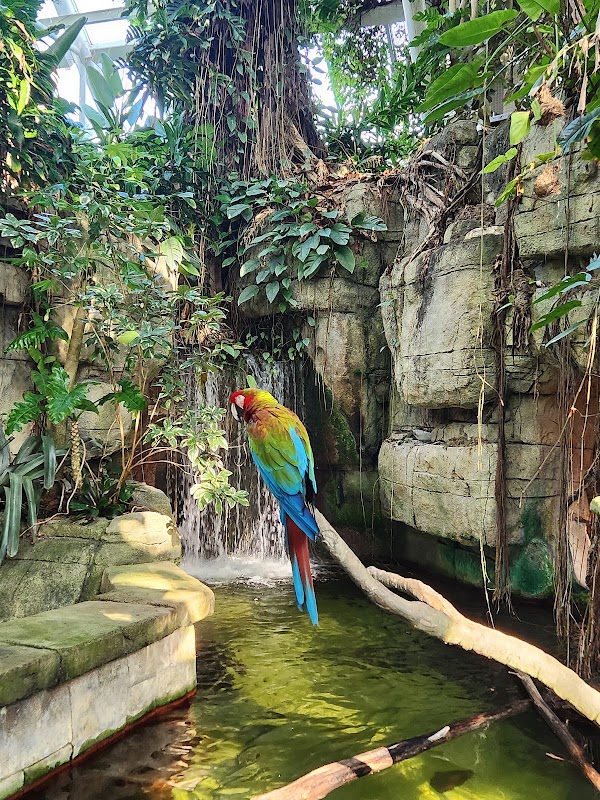 Moody Gardens Attractions Theme Park