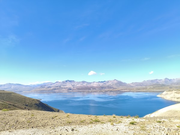 Paso Pehuenche