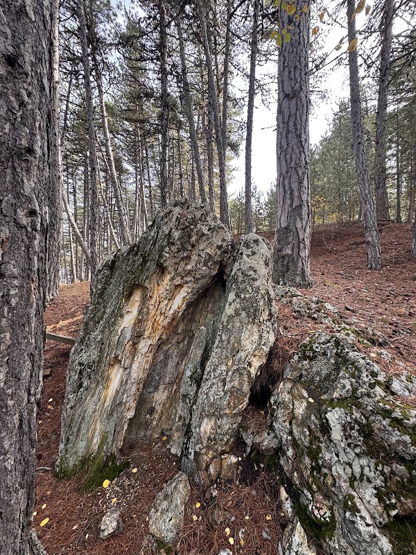 Soğuksu National Park