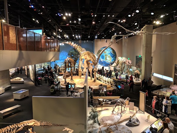 Perot Museum of Nature and Science