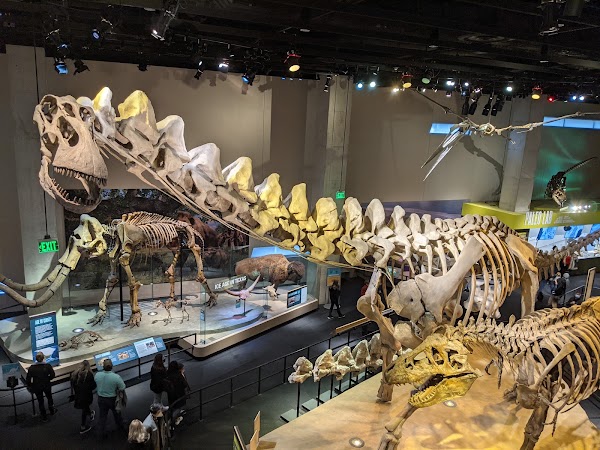 Perot Museum of Nature and Science