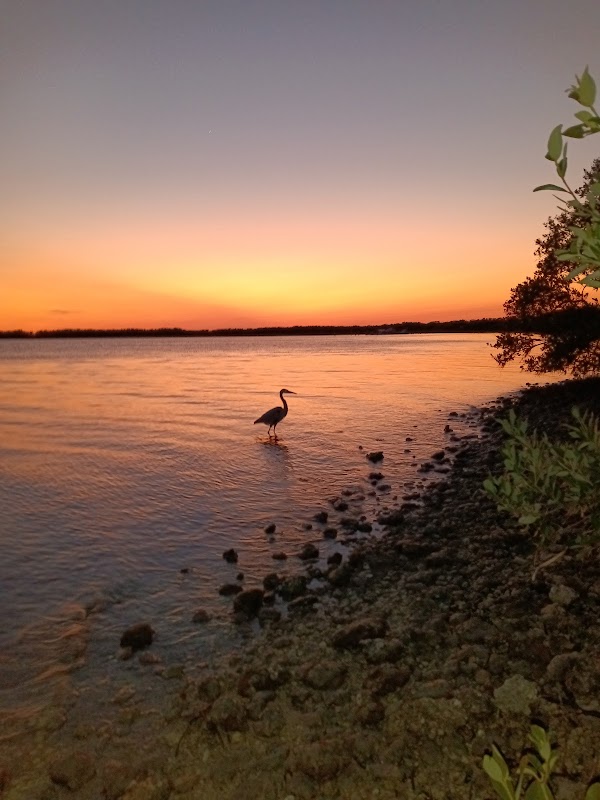 Honeymoon Island