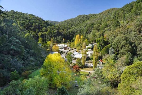 Walhalla's Star Hotel