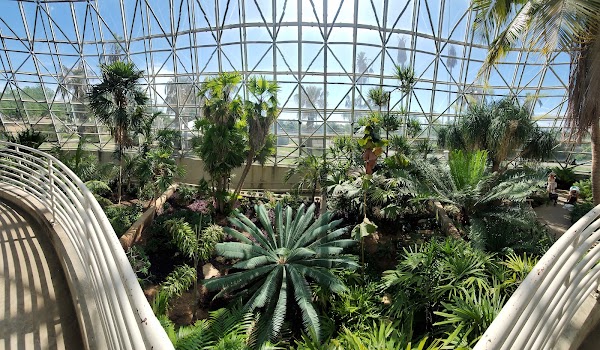 San Antonio Botanical Garden