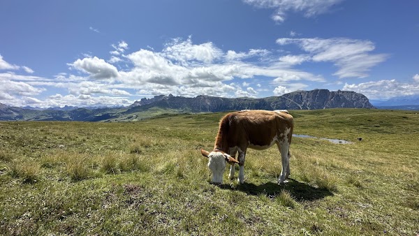 Monte Bullaccia