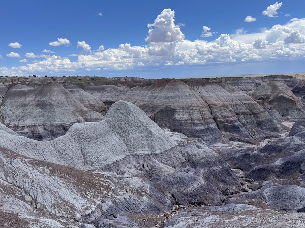 Blue Mesa Trailhead