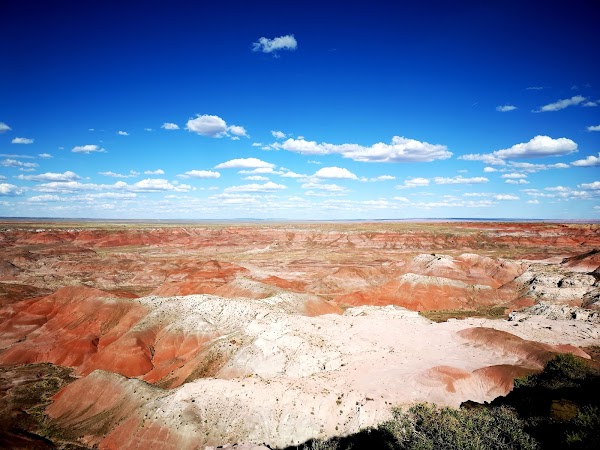 Blue Mesa Trailhead